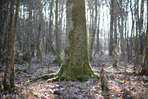 AI算法赋能电竞，职业选手未来何去何从