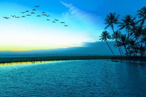 技术革新驱动电竞发展，VR-AR助力，白皮书展望沉浸式体验